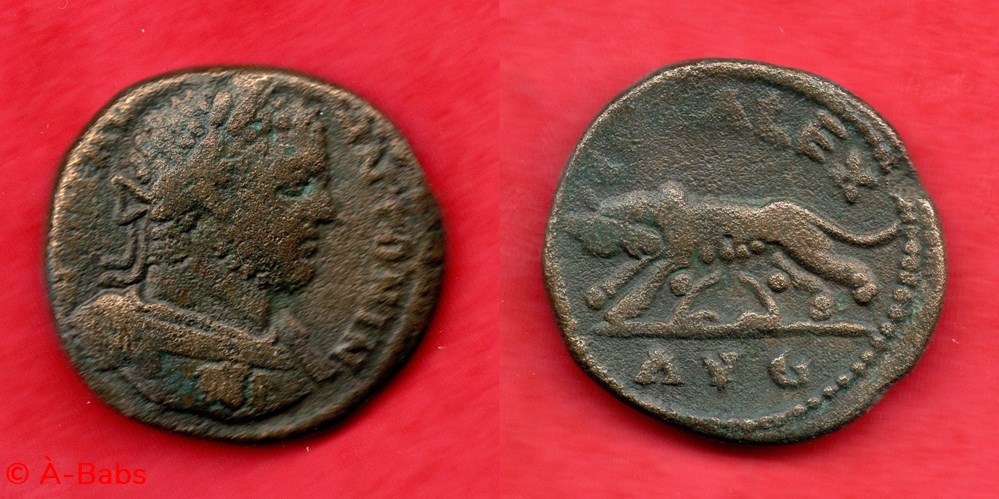 CARACALLA - Provinciale - TROADE monnaies antiques romaines provinciales caracalla provinciale troade