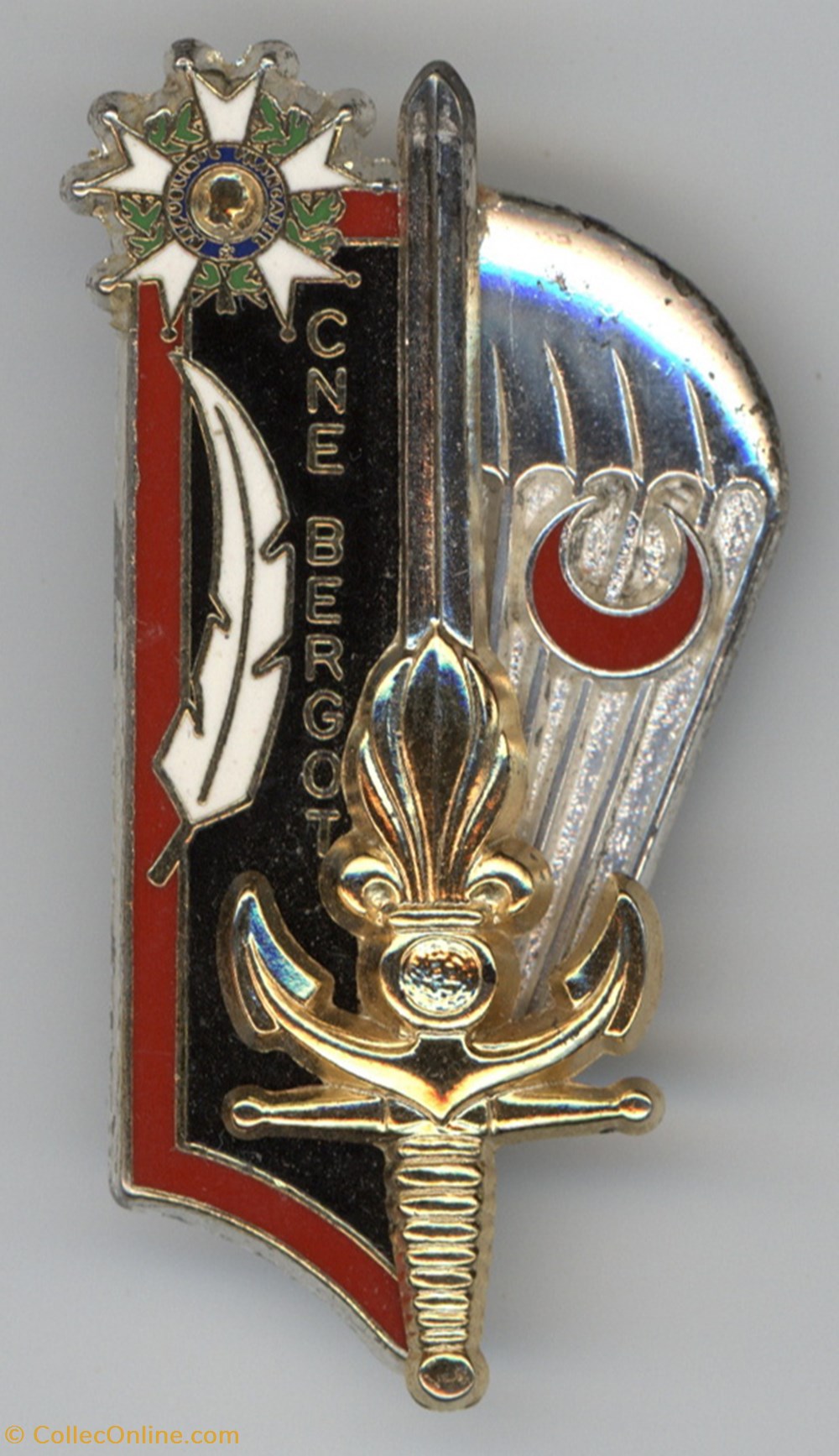 militaria medailles insignes insigne eai promotion bergot erwan