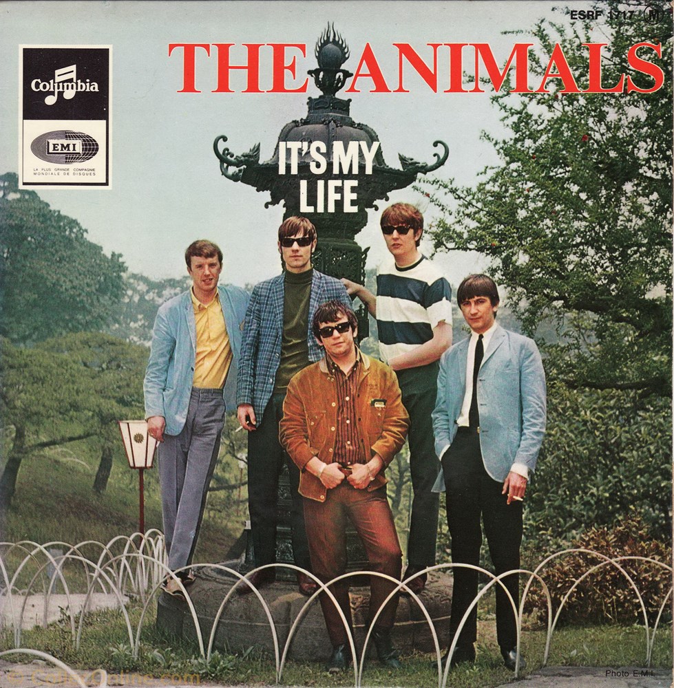 musique instrument vinyle disque tour the animals is my life