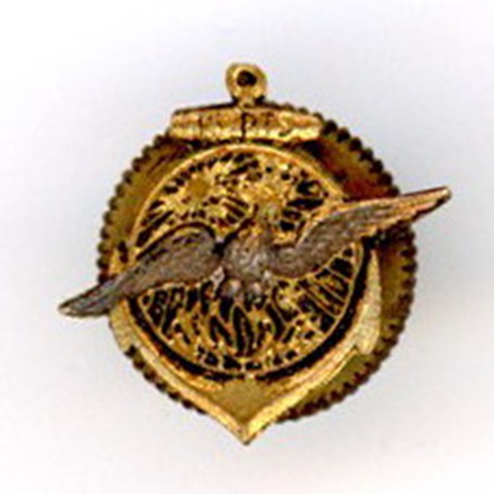 militaria medailles insignes insigne terre 15 regiment de tirailleurs senegalais constantine