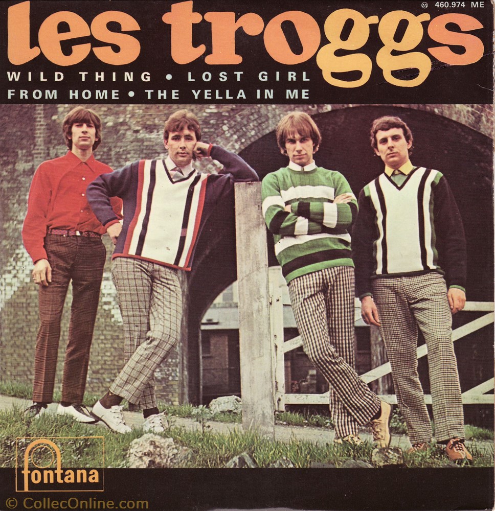 musique instrument the troggs wild thing