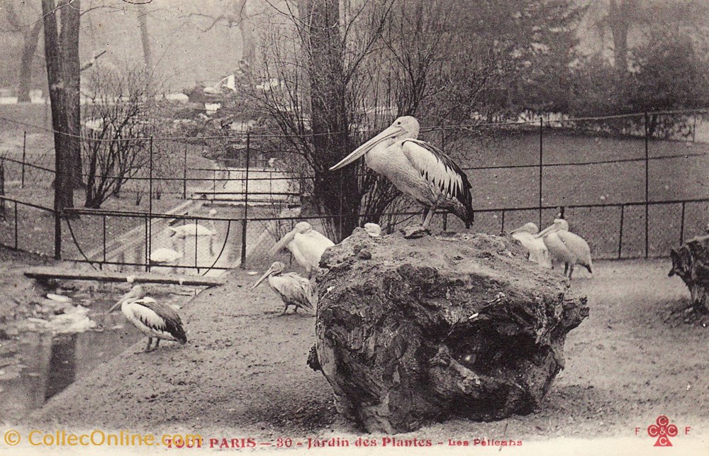 cartes postales europe france collection tout paris 030