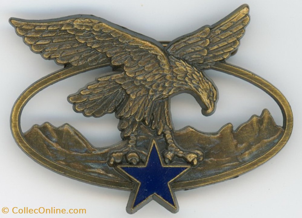 militaria medailles insignes brevet des troupes de montagne