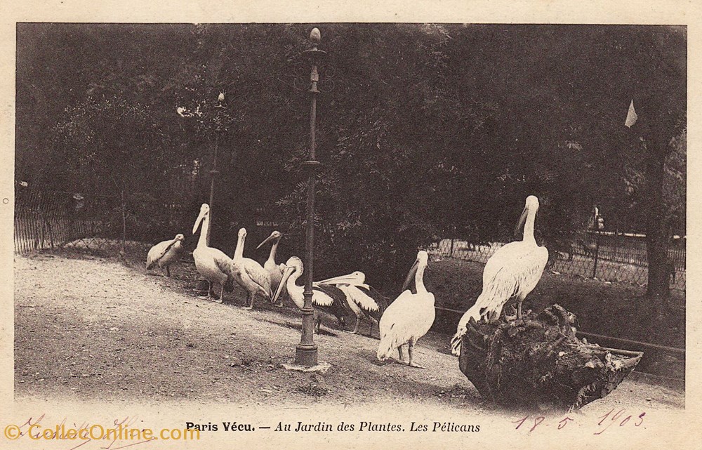 Collection Paris Vécu - N°055 cartes postales europe france collection paris vecu n 055