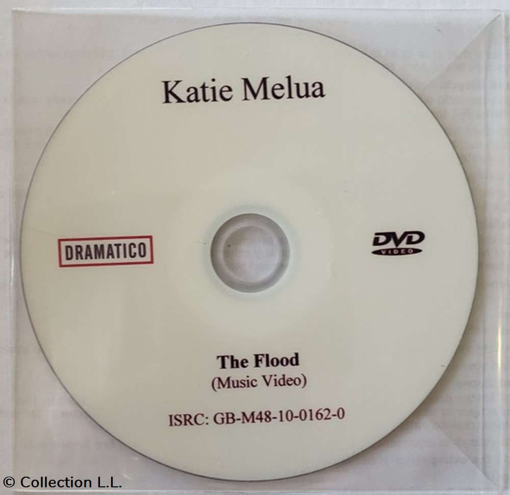 The Flood (promo DVD 1 titre) musique instruments cd the flood promo dvd 1 titre