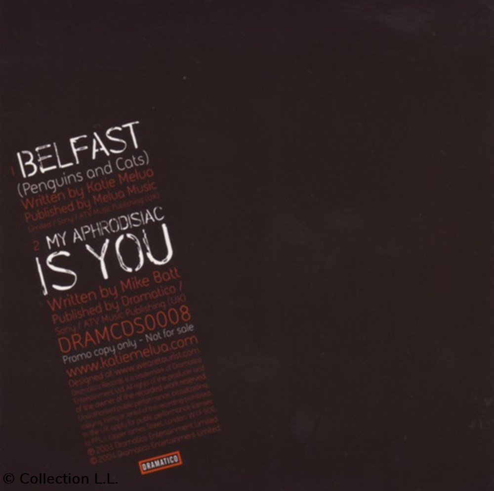 musique instruments cd belfast penguins cats promo 2 titres