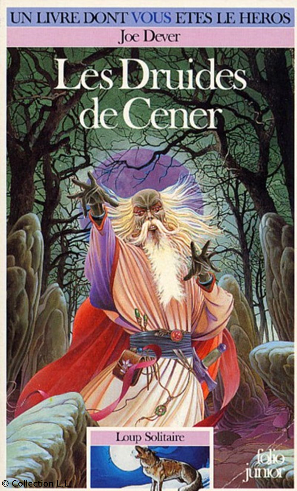 livres bd revues les druides de cener 13