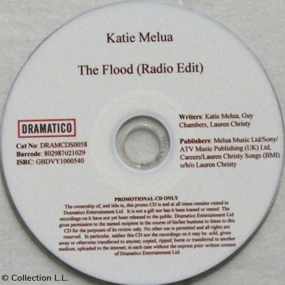 The Flood (promo 1 titre) musique instruments cd the flood promo 1 titre
