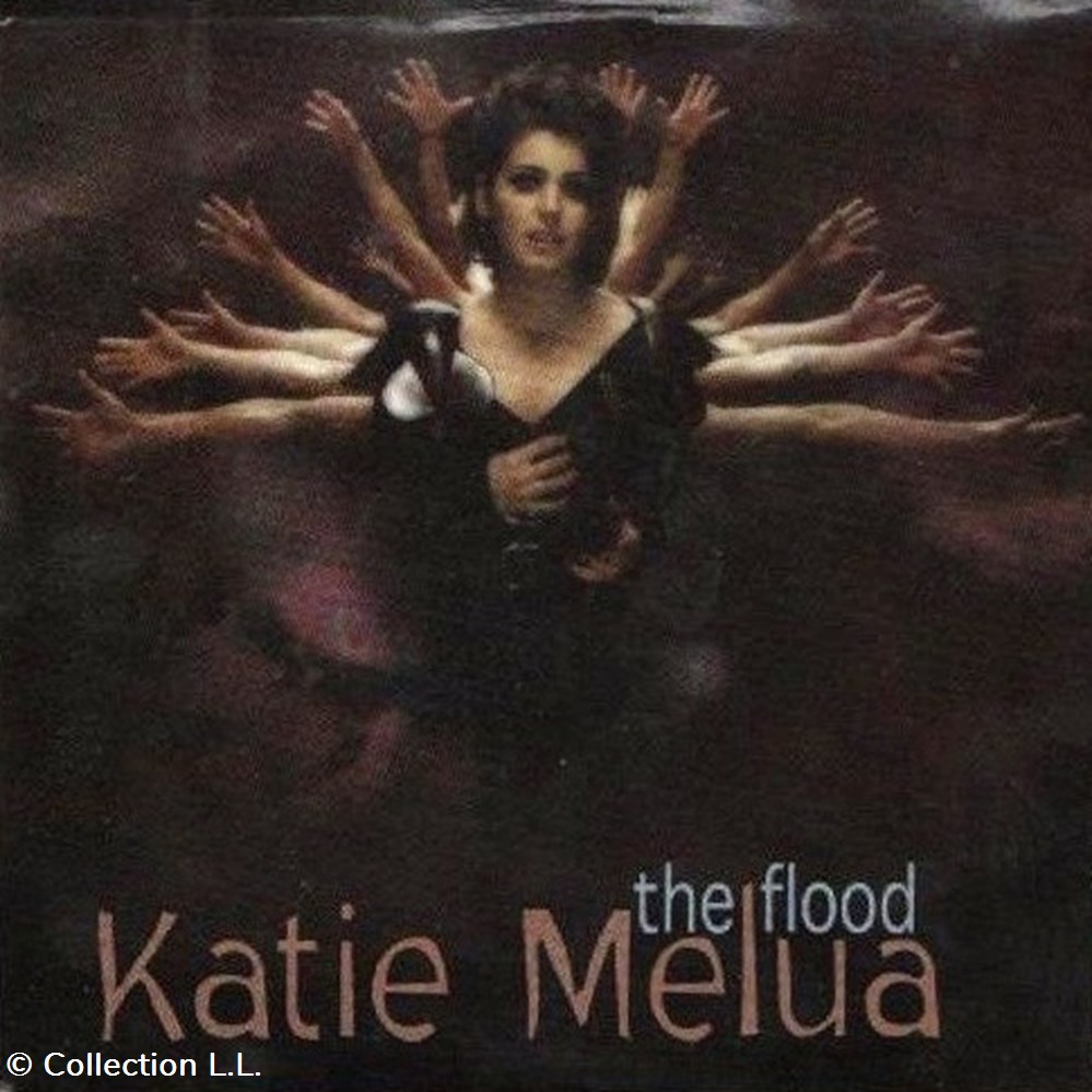 musique instruments cd the flood single digital 4 titres