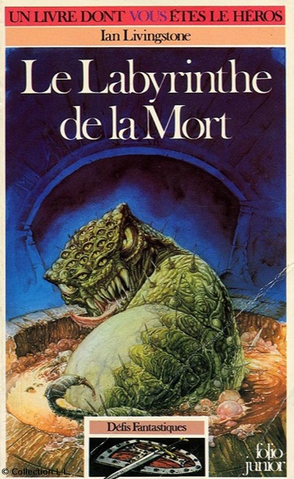 jeux societe jouets livre dont vous etes heros le labyrinthe de la mort 06