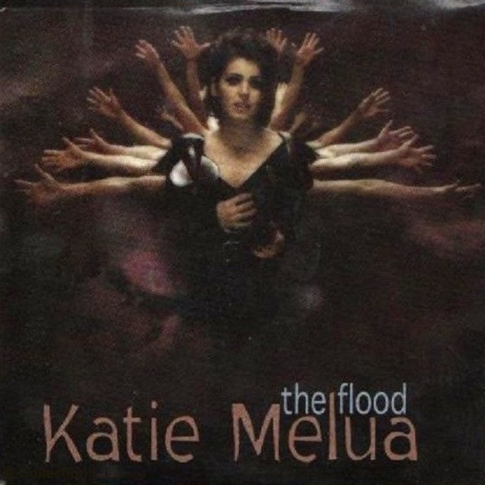 The Flood (promo 3 titres) musique instruments cd the flood promo 3 titres