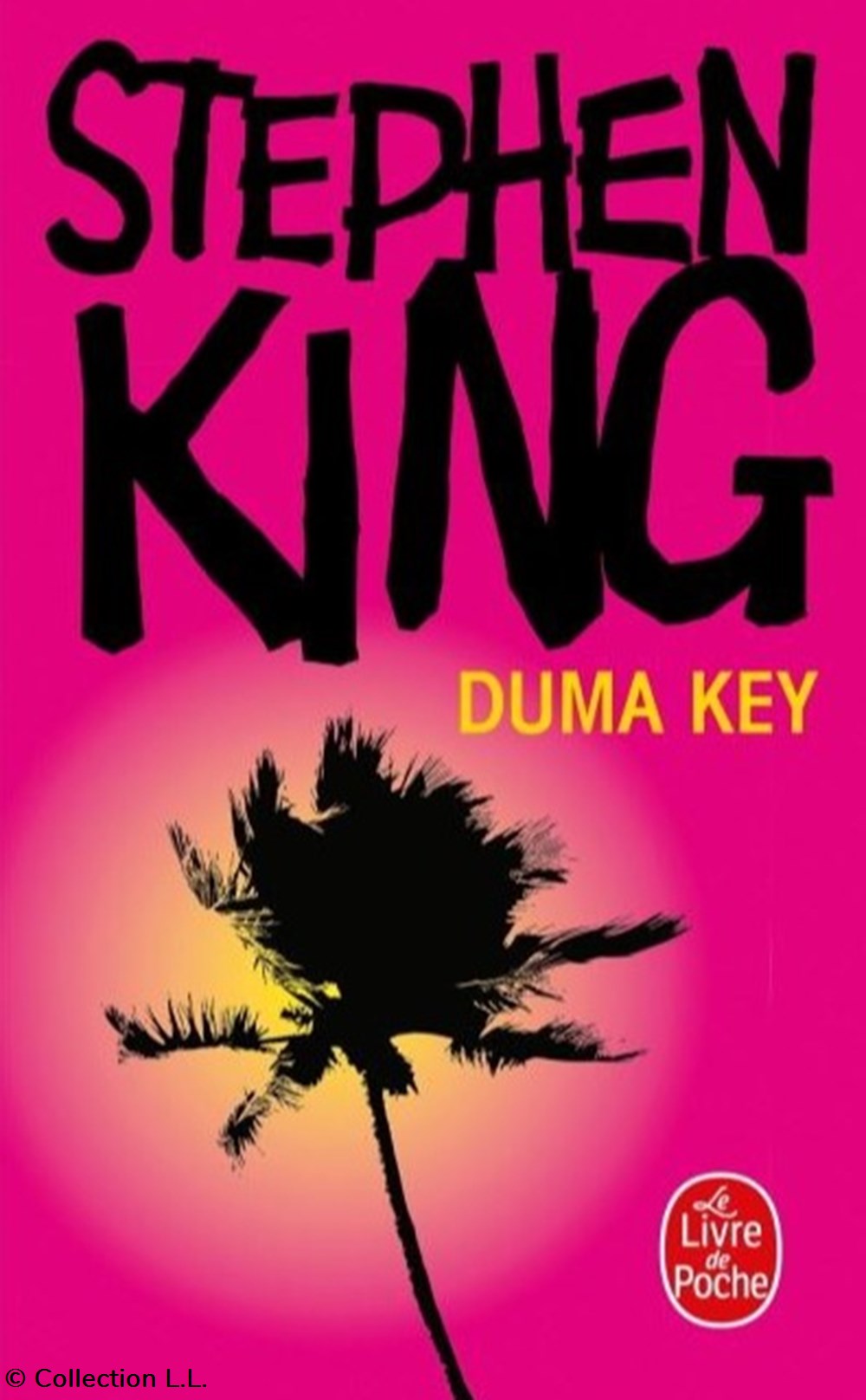 Duma Key livres bd revues duma key