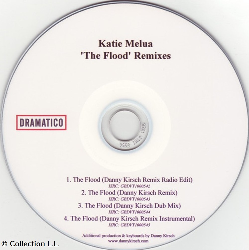 The Flood (promo 4 remixes) musique instruments cd the flood promo 4 remixes