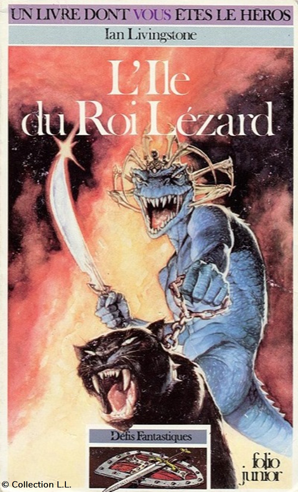 jeux de societe jouets livre dont vous etes heros l ile du roi lezard 07