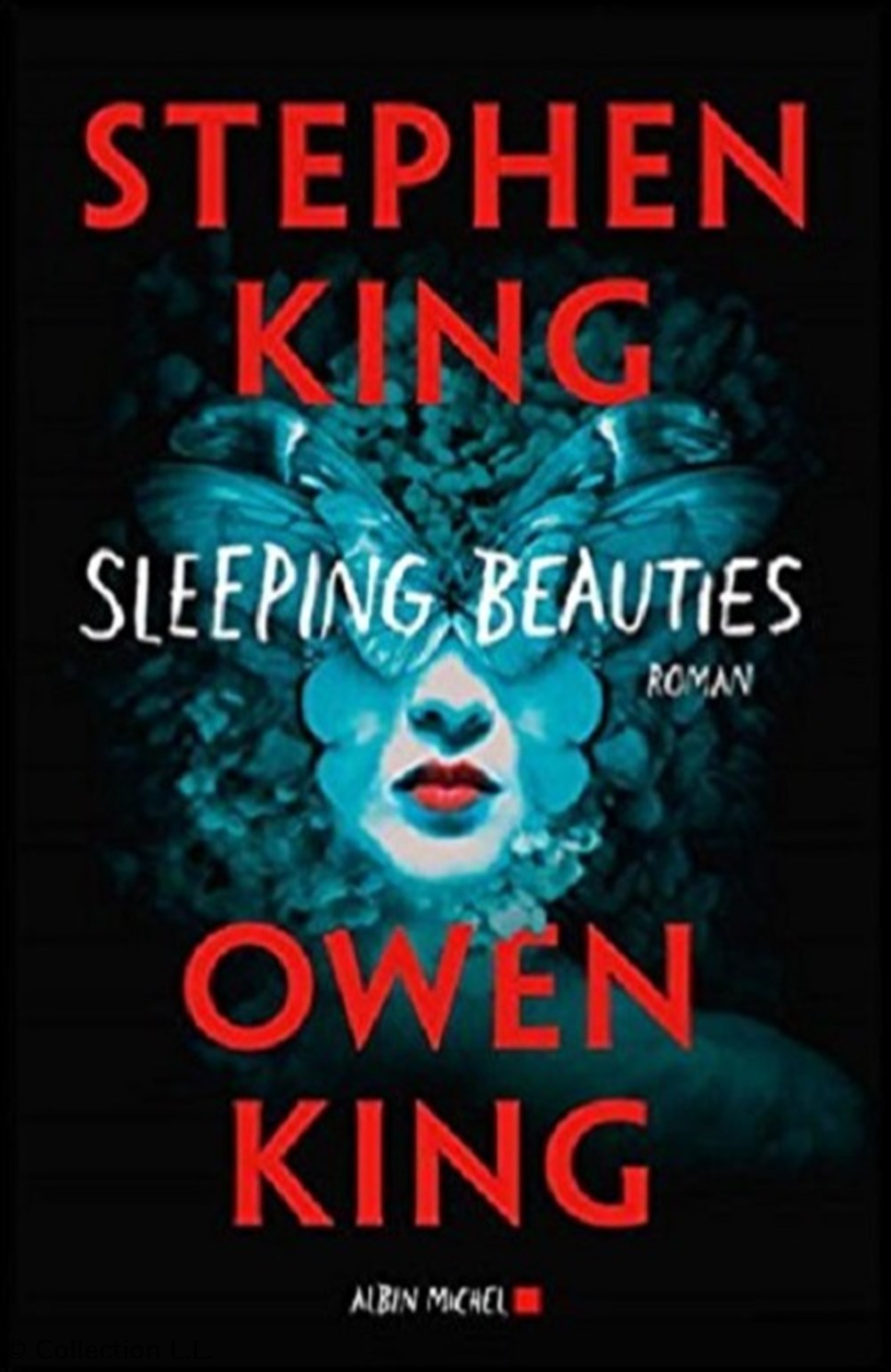 livres bd revues sleeping beauties