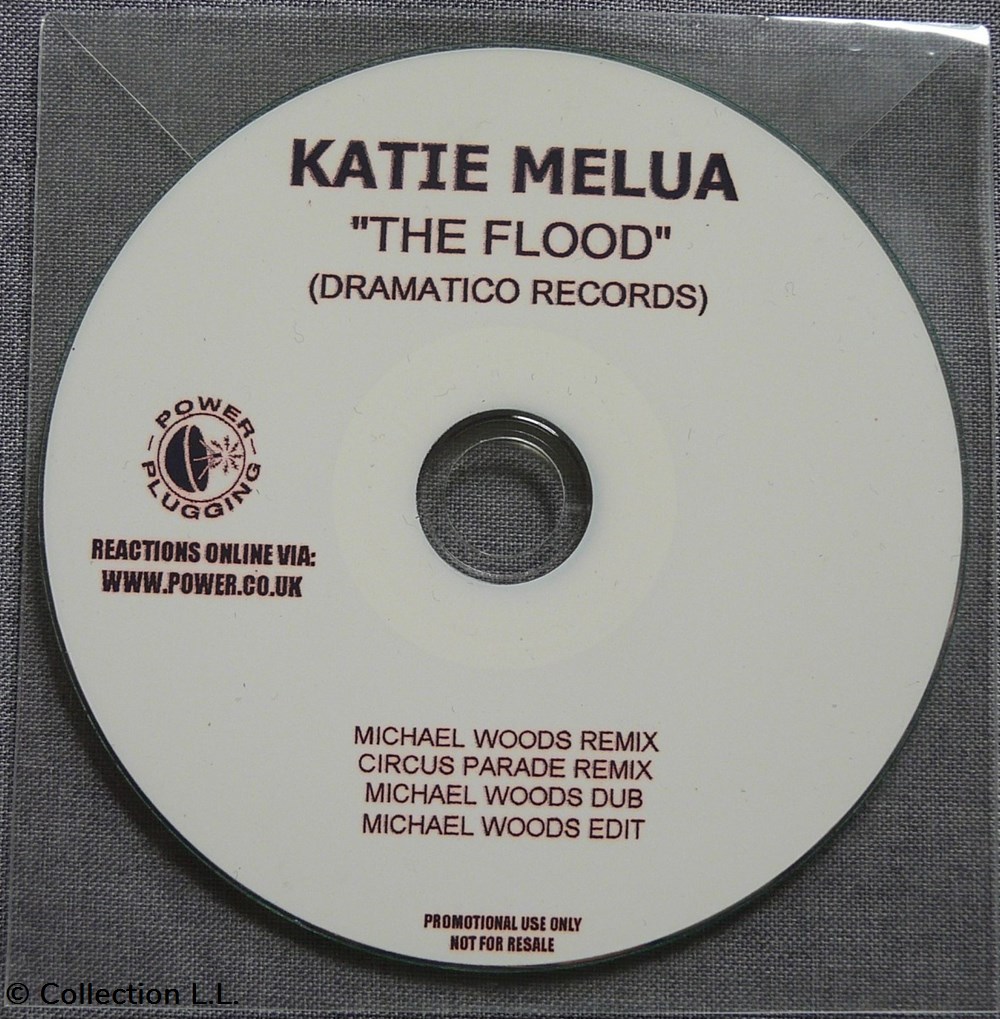 musique instruments cd the flood promo 4 remixes