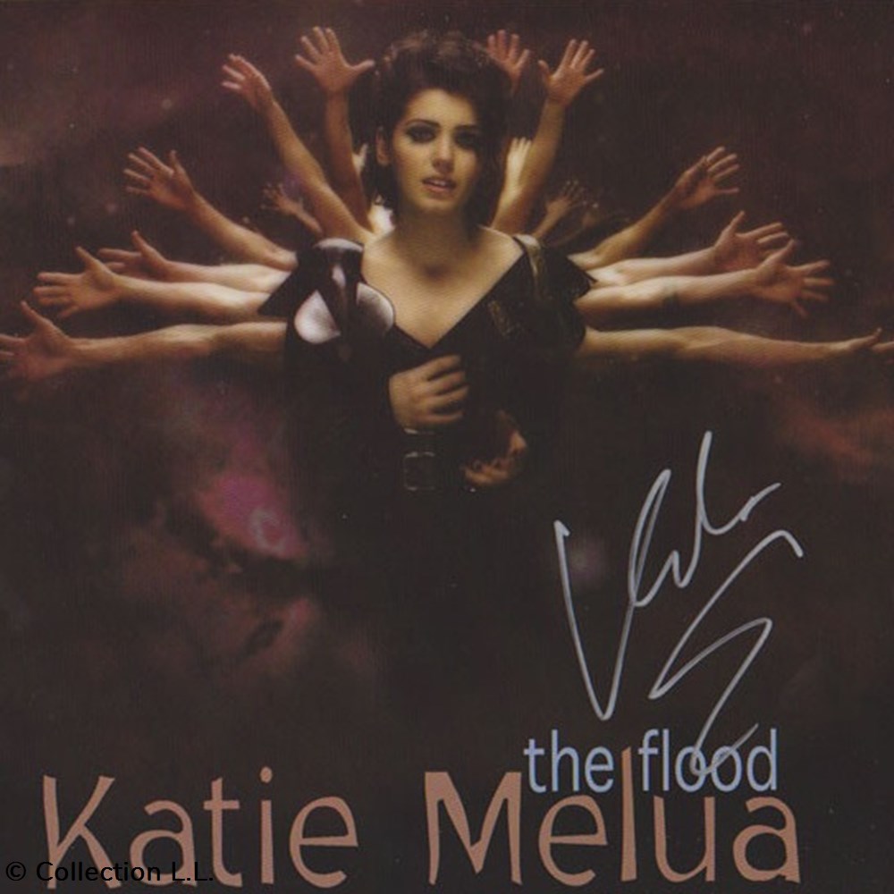 The Flood (single vinyl 3 titres) musique instruments disques vinyles disque tours the flood single vinyl 3 titres