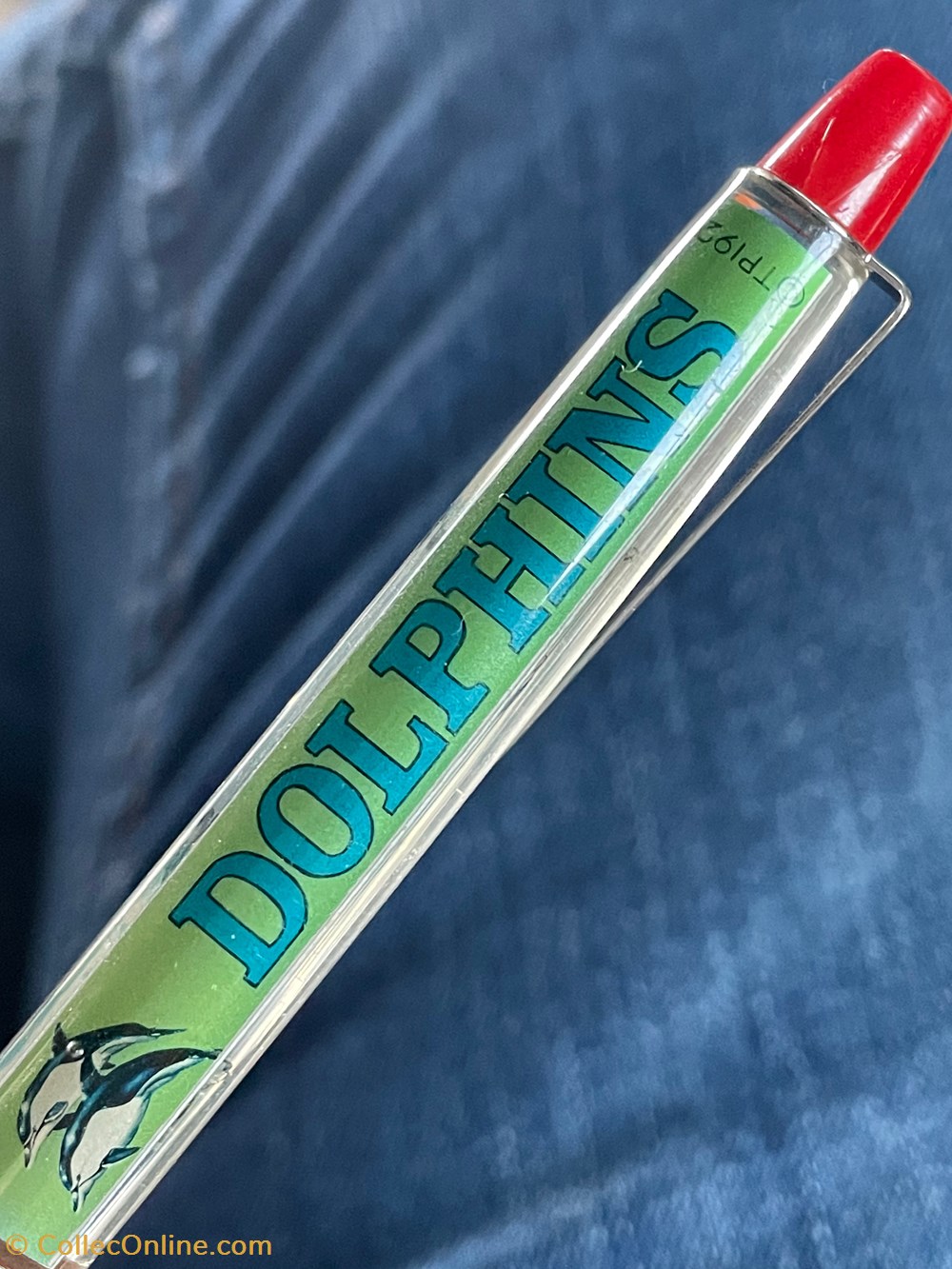 divers dolphins