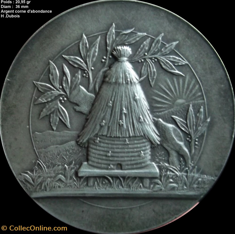 Médaille Caisse d'épargne non attribuée , poinçon corne d'abondance , Argent medailles medaille caisse epargne non attribuee poincon corne abondance argent