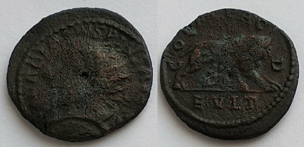 238-244 Gordian III, she-wolf, AE23 coins ancient to romans provincial 238 244 gordian iii she wolf ae23