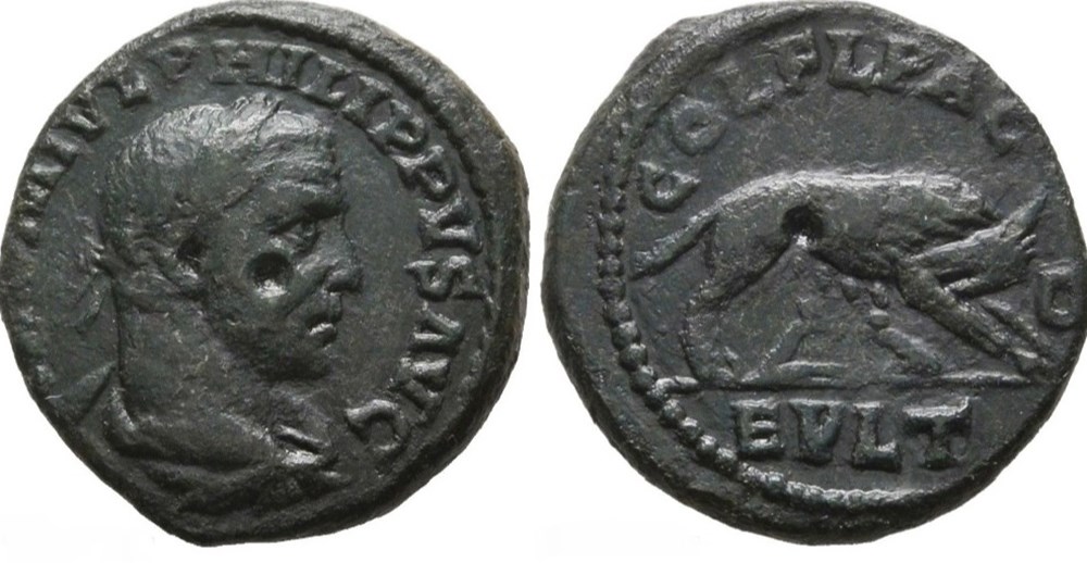 244-249 Philippus I, she-wolf, AE23 coins ancient to romans provincial 244 249 philippus i she wolf ae23