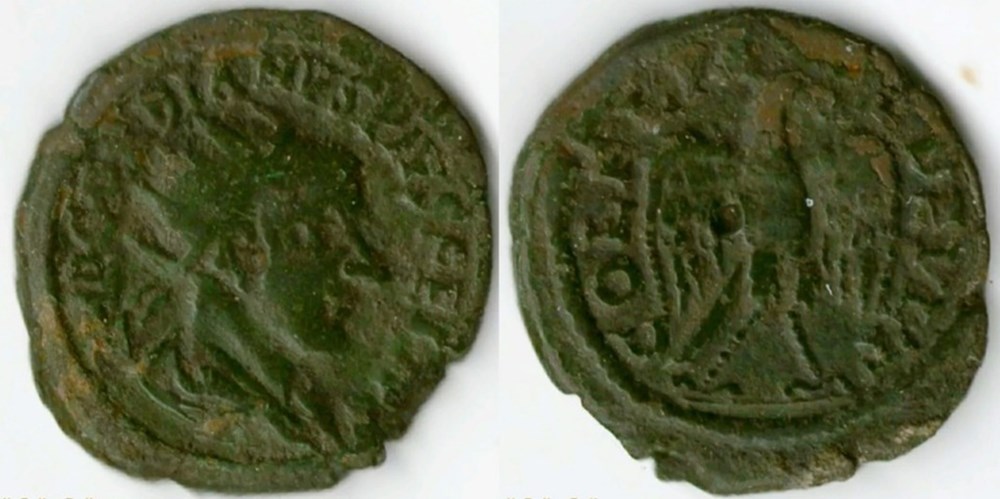 238-244 Gordian III, eagle, AE24 coins ancient to romans provincial 238 244 gordian iii eagle ae24