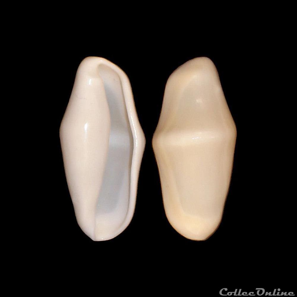 Ovulidae - Cyphoma gibbosum (Linné, 1758) coquillages fossiles gastropoda ovulidae cyphoma gibbosum linne 1758