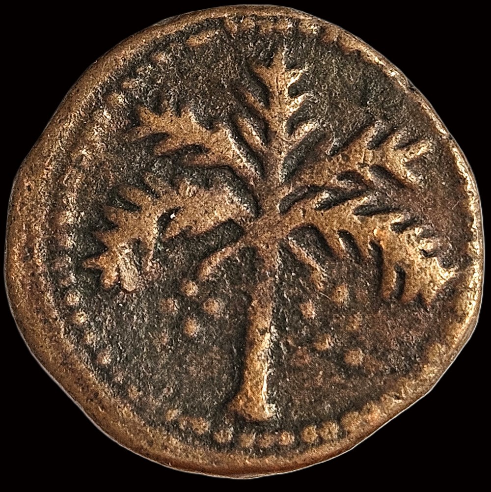 monnaies europe medievale royaume de naples trifollaro guglelmo ii nd 1166 89 regno di sicilia