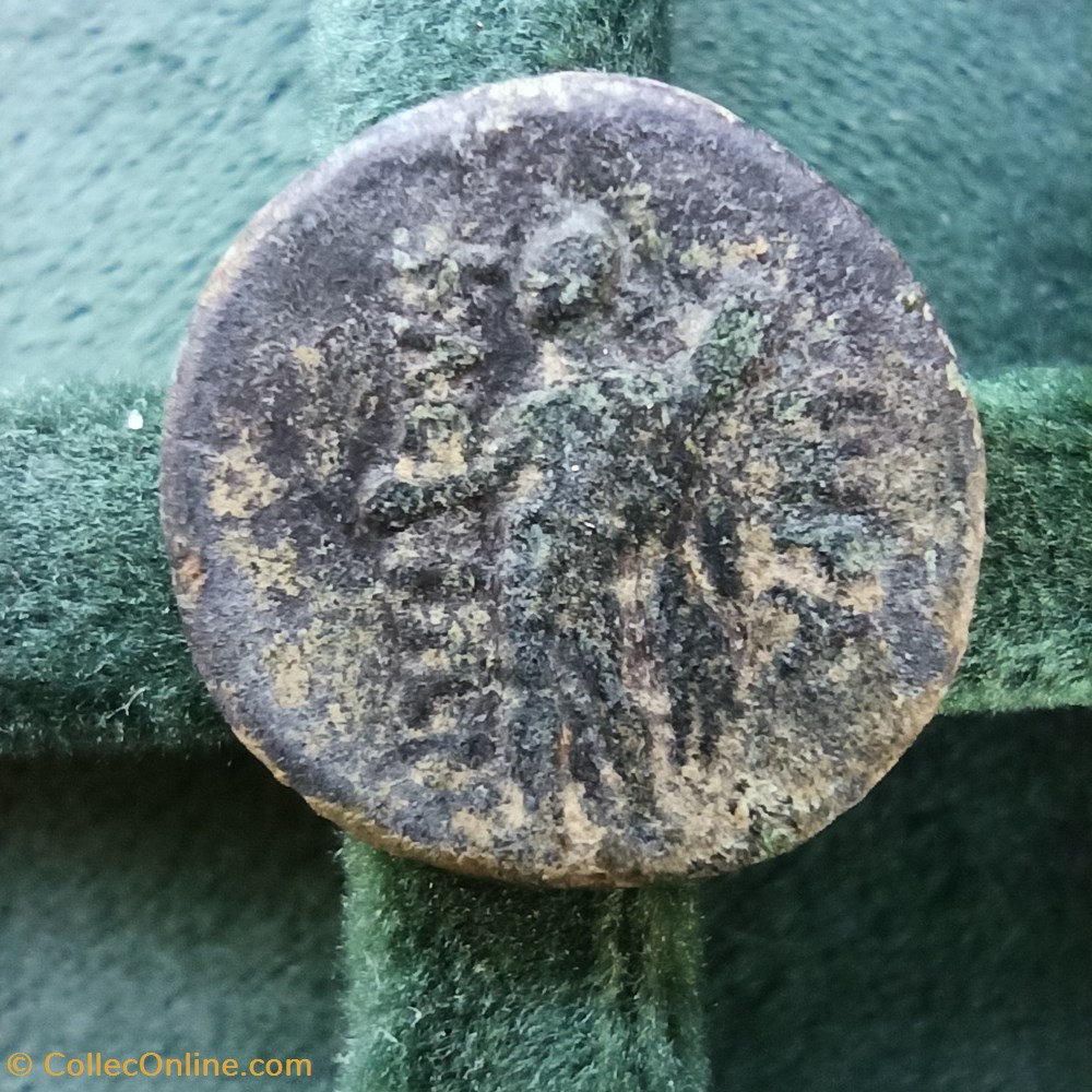 monnaies antiques grecques lucania bronze