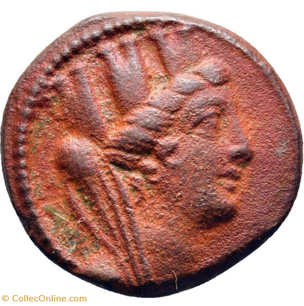 monnaies antiques a grecques seleucide demi unite ou unite