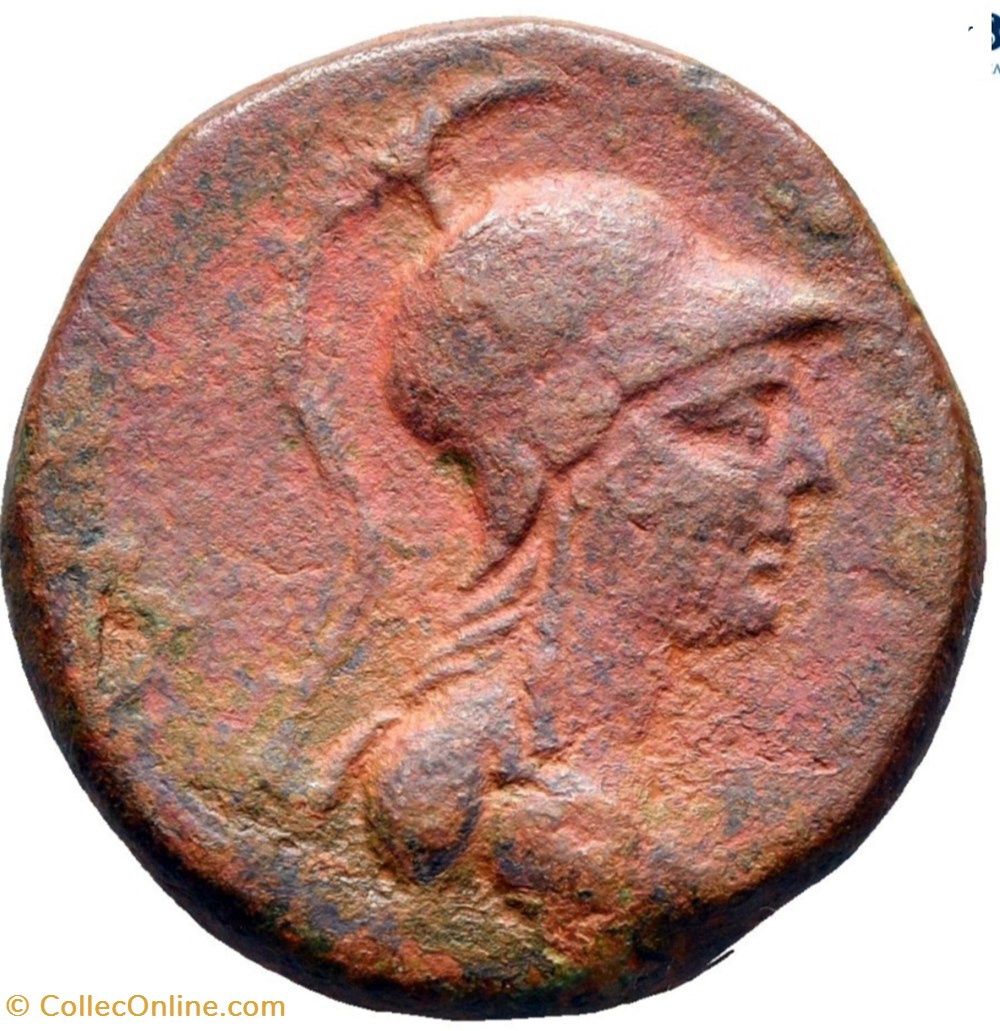 monnaies antiques a grecques seleucide bronze