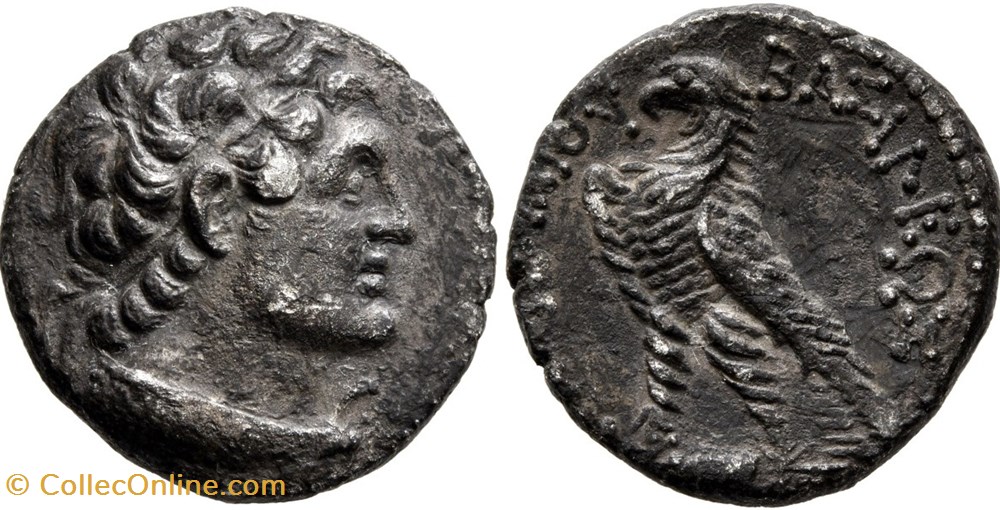 monnaies antiques grecques lagide didrachme