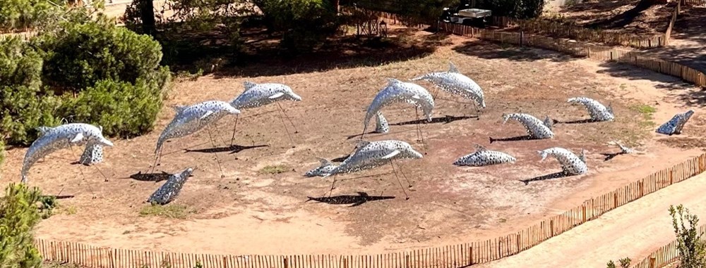 banc des dauphins hyeres