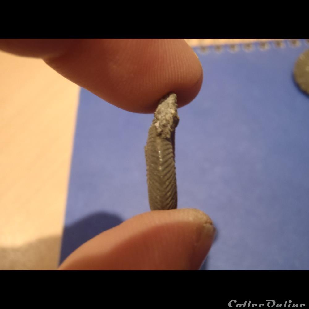 Indéterminé 3 coquillage fossile indetermine