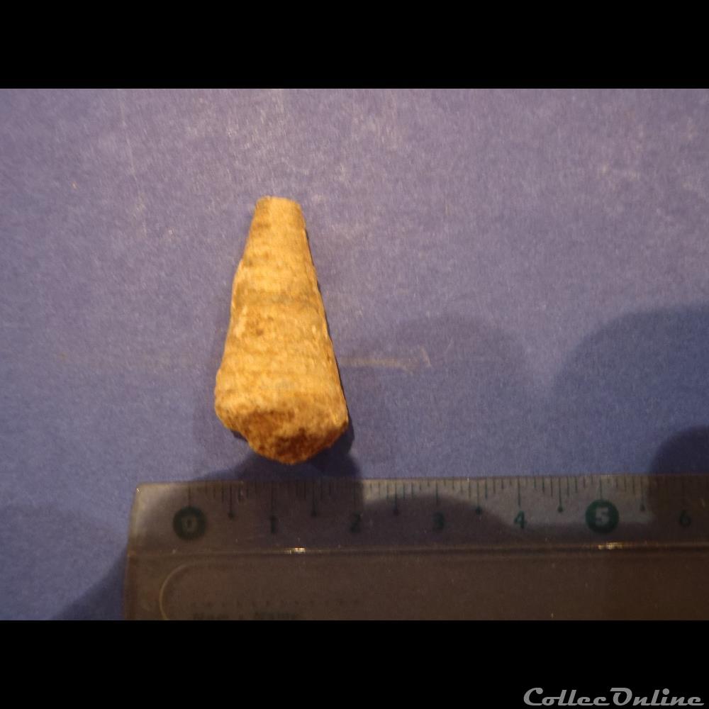 Gastéropode indéterminé coquillage fossile invertebre gasteropode indetermine