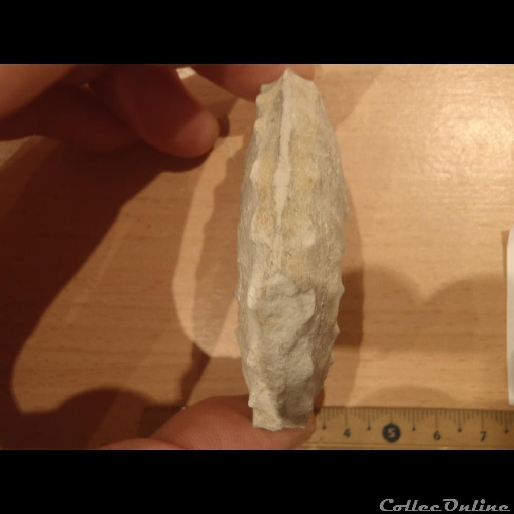 Schloenbachia varians coquillage fossile invertebre schloenbachia varians