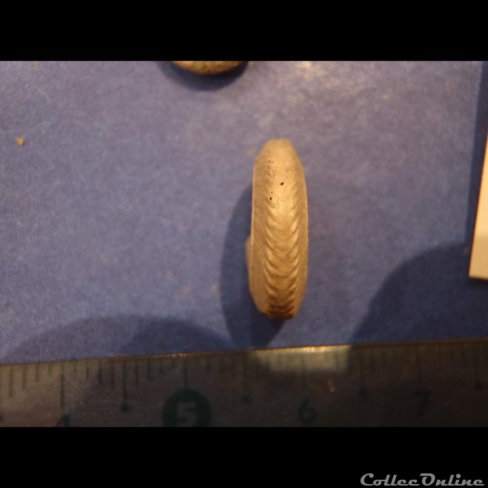 coquillage fossile invertebre anahoplites planus 5