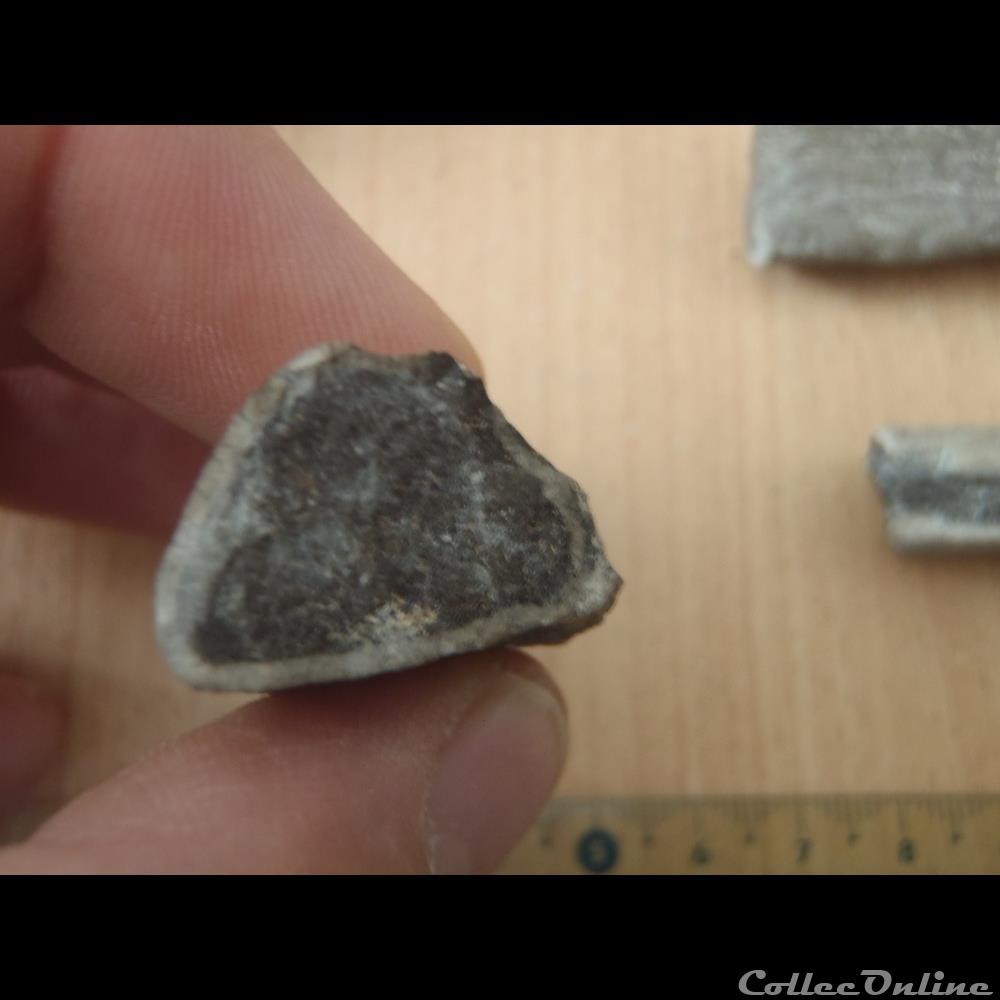 Fragments d'os indéterminés 3 coquillage fossile invertebre fragments os indetermines