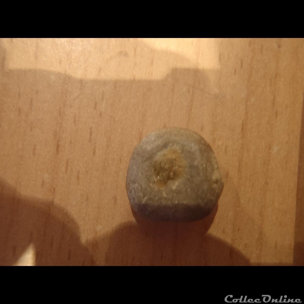 Nucleolites scutatus 2 coquillage fossile nucleolites scutatus