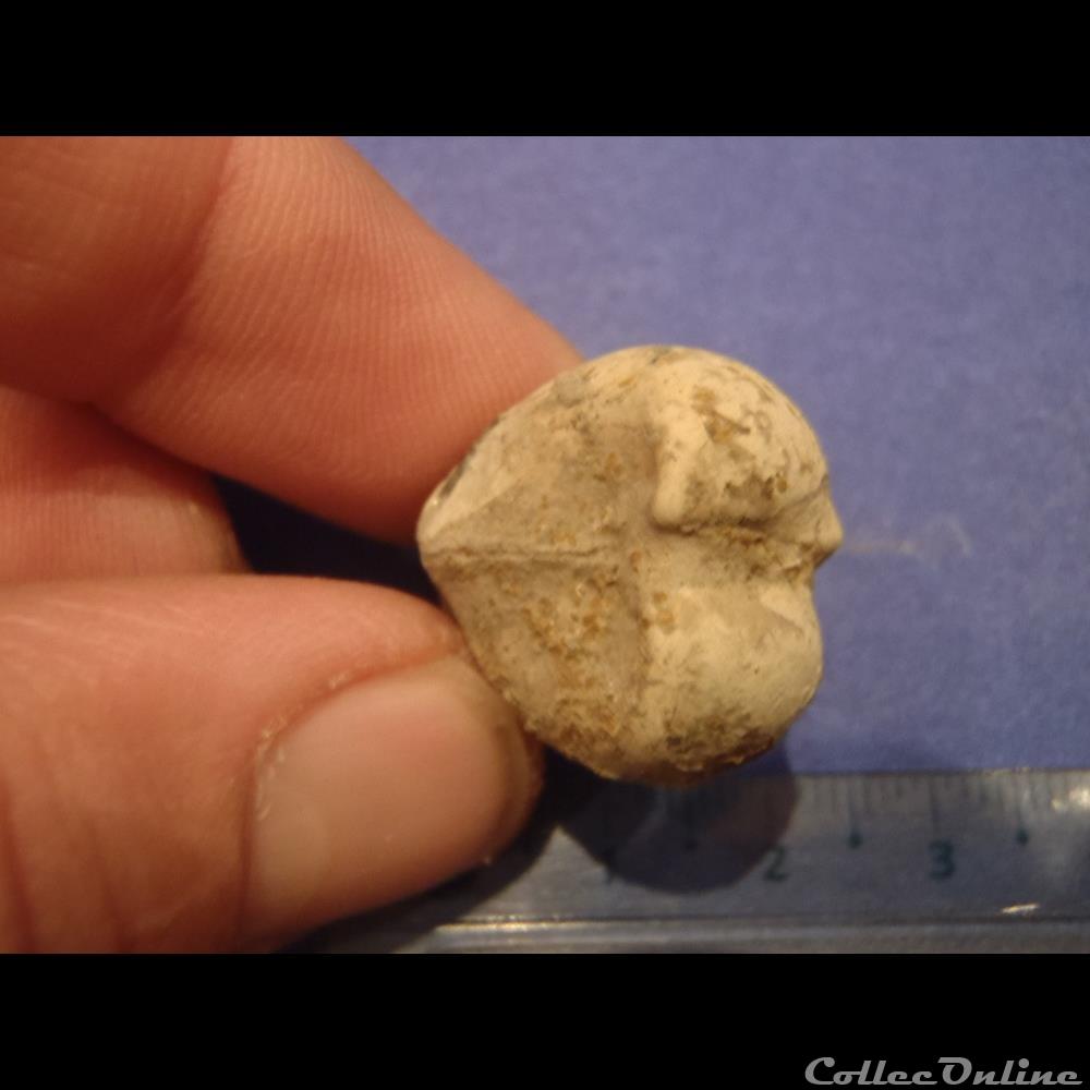 coquillage fossile invertebre bivalve indetermine