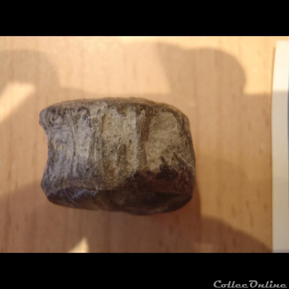 Vertèbre indéterminée coquillage fossile invertebre vertebre indeterminee