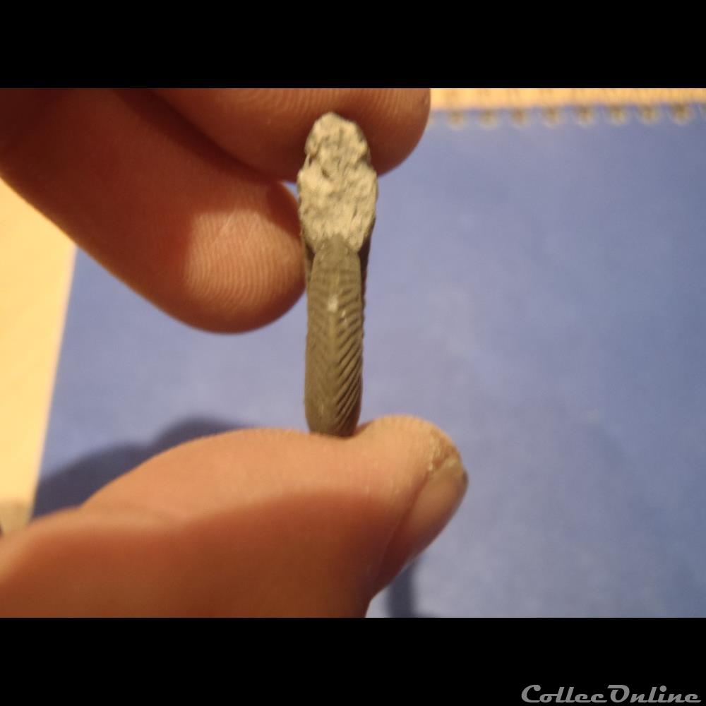 coquillage fossile invertebre indetermine