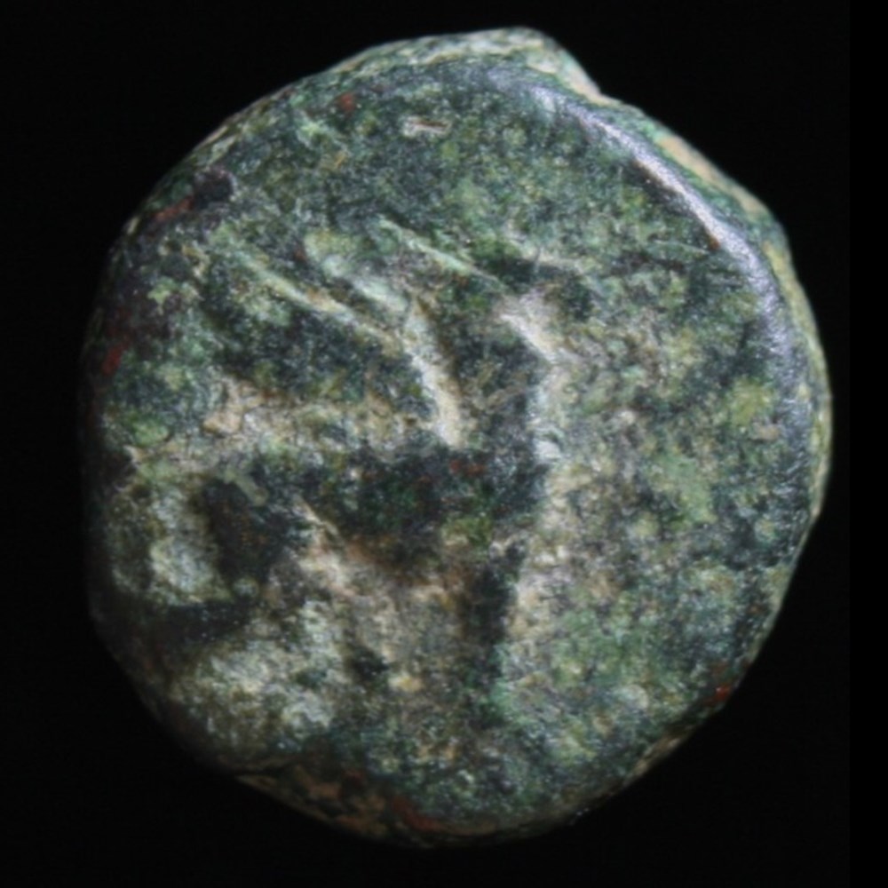 Greece (Ionia, Teos): bronze Æ10, ca. 3rd century BC; griffin & kantharos 4 coins ancient to greek greece ionia teos bronze 10 ca 3rd century bc griffin kantharos