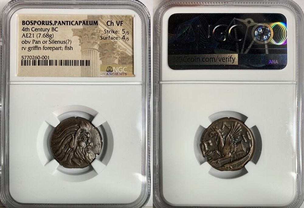 Greece (Thrace, Pantakapaion): ca. 310-303 BC bronze Æ21 5 coins ancient to greek greece thrace pantakapaion ca 310 303 bc bronze 21