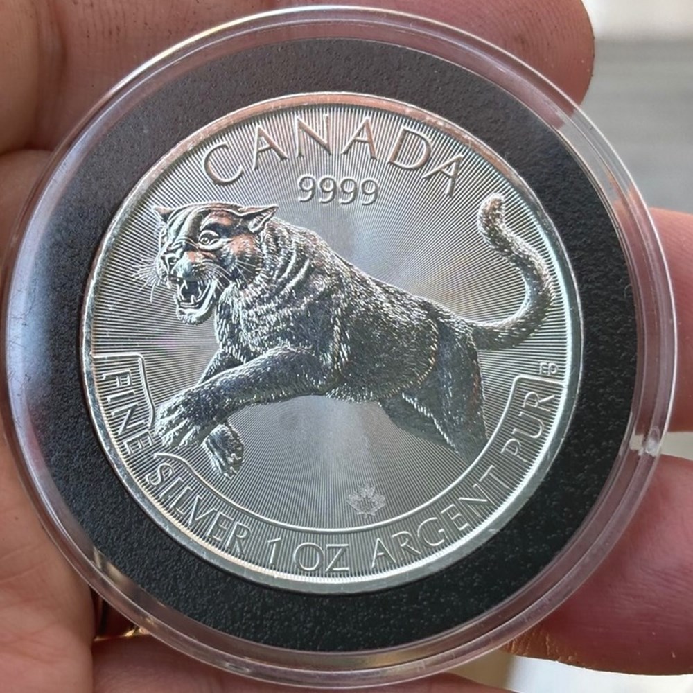 coins world canada 2016 silver 5 dollars of elizabeth ii cougar bullion coin 1 ounce 9999 fine