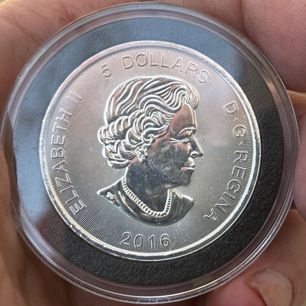 coins world canada 2016 silver 5 dollars of elizabeth ii cougar bullion coin 1 ounce 9999 fine