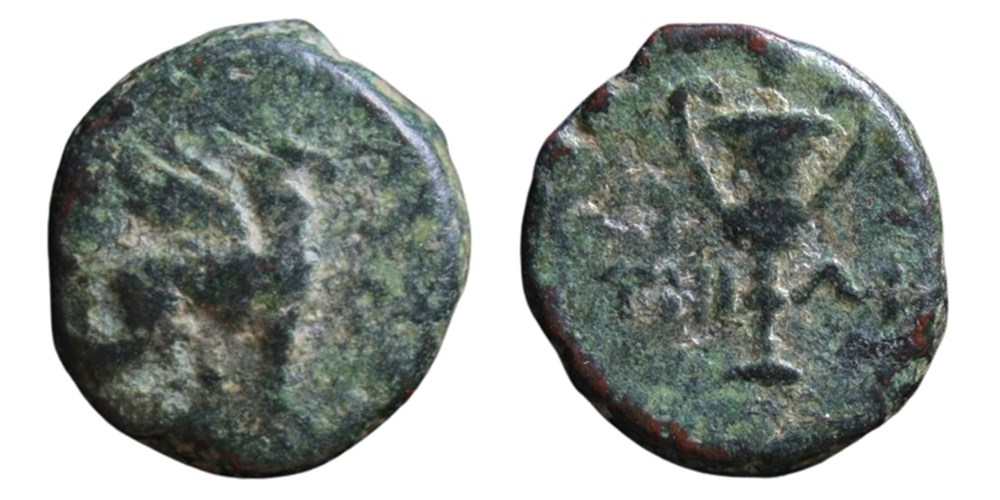 Greece (Ionia, Teos): bronze Æ10, ca. 3rd century BC; griffin & kantharos 3 coins ancient to greek greece ionia teos bronze 10 ca 3rd century bc griffin kantharos