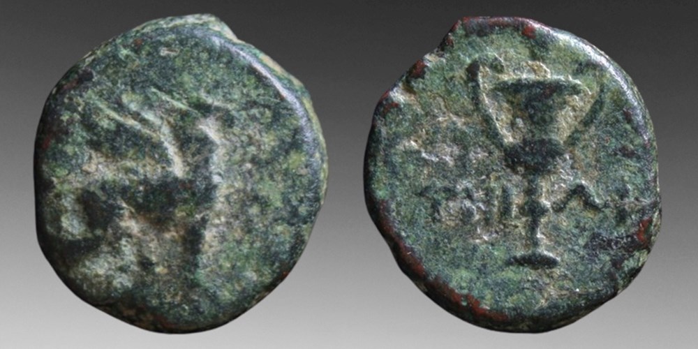 Greece (Ionia, Teos): bronze Æ10, ca. 3rd century BC; griffin & kantharos coins ancient to greek greece ionia teos bronze 10 ca 3rd century bc griffin kantharos