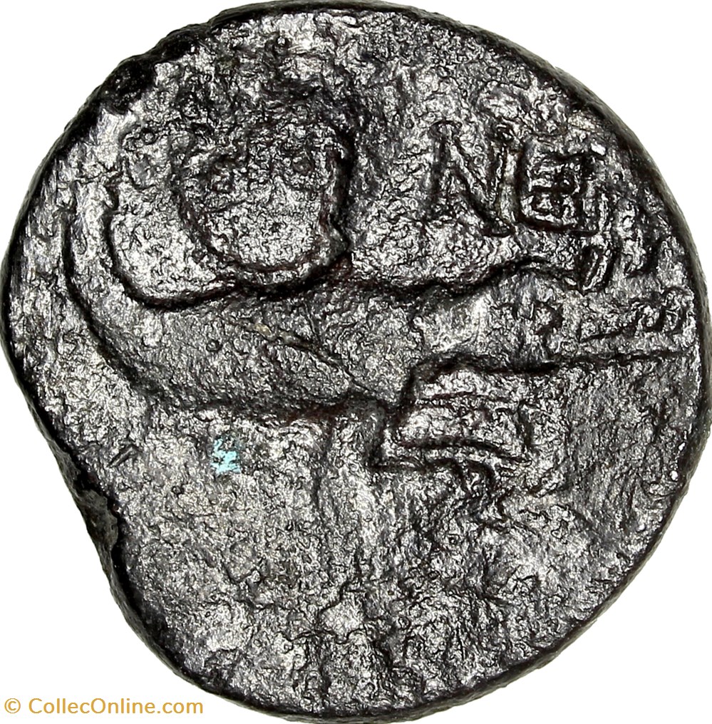 Dupondius de Nîmes, Auguste et Agrippa, groupe 2, 16/15-10 AC., Nîmes monnaies antiques romaines republicaines imperiales dupondius de nimes auguste et agrippa groupe 2 16 15 10 ac nimes