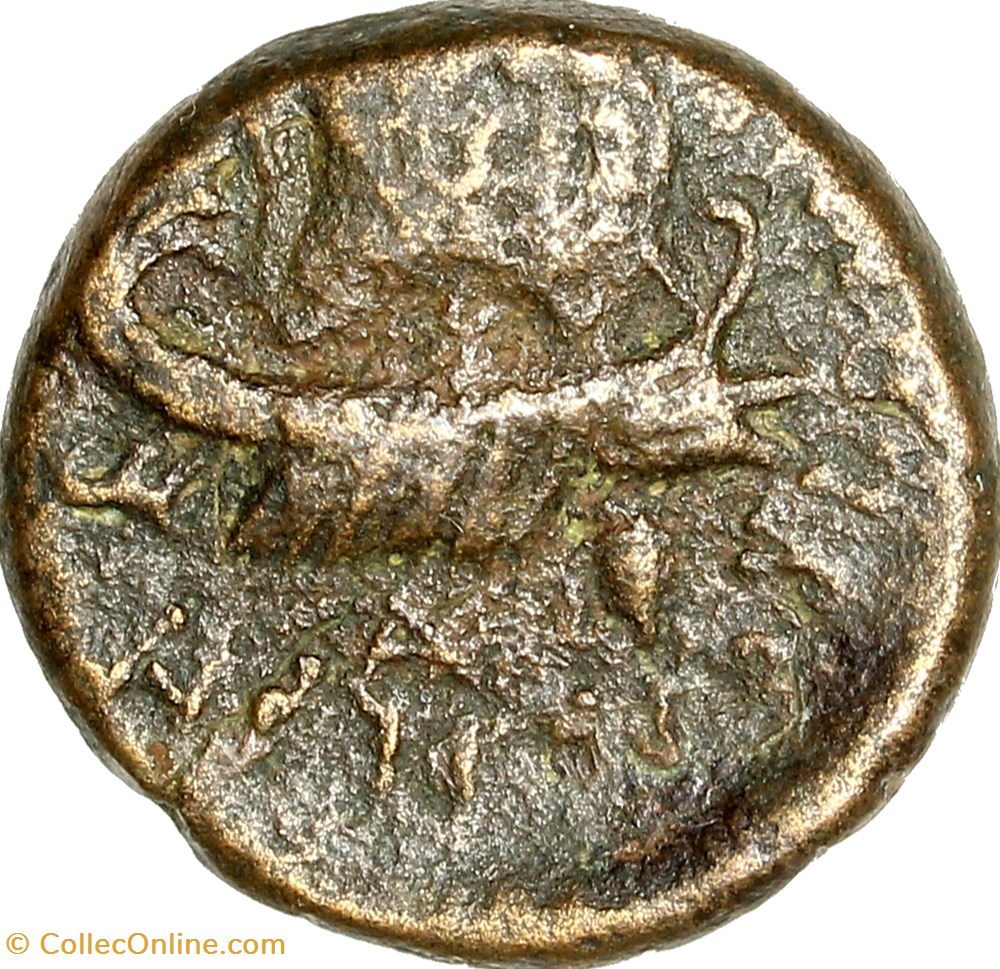 As série légère du préfet de la flotte M Oppius Capito aux effigies de Marc-Antoine et Octavie monnaies antiques romaines provinciales as serie legere du prefet de la flotte m oppius capito aux effigies de marc antoine et octavie
